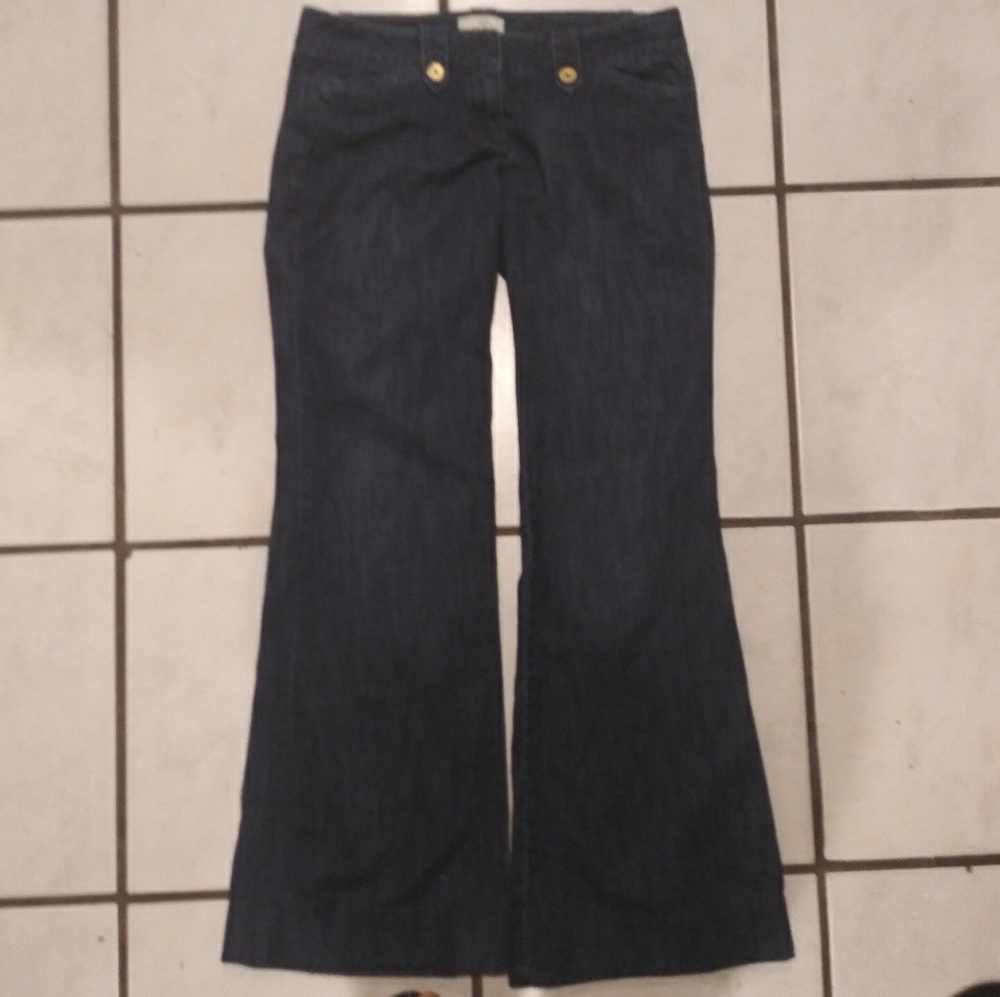 Ann Taylor LOFT Flare Leg Denim Trousers